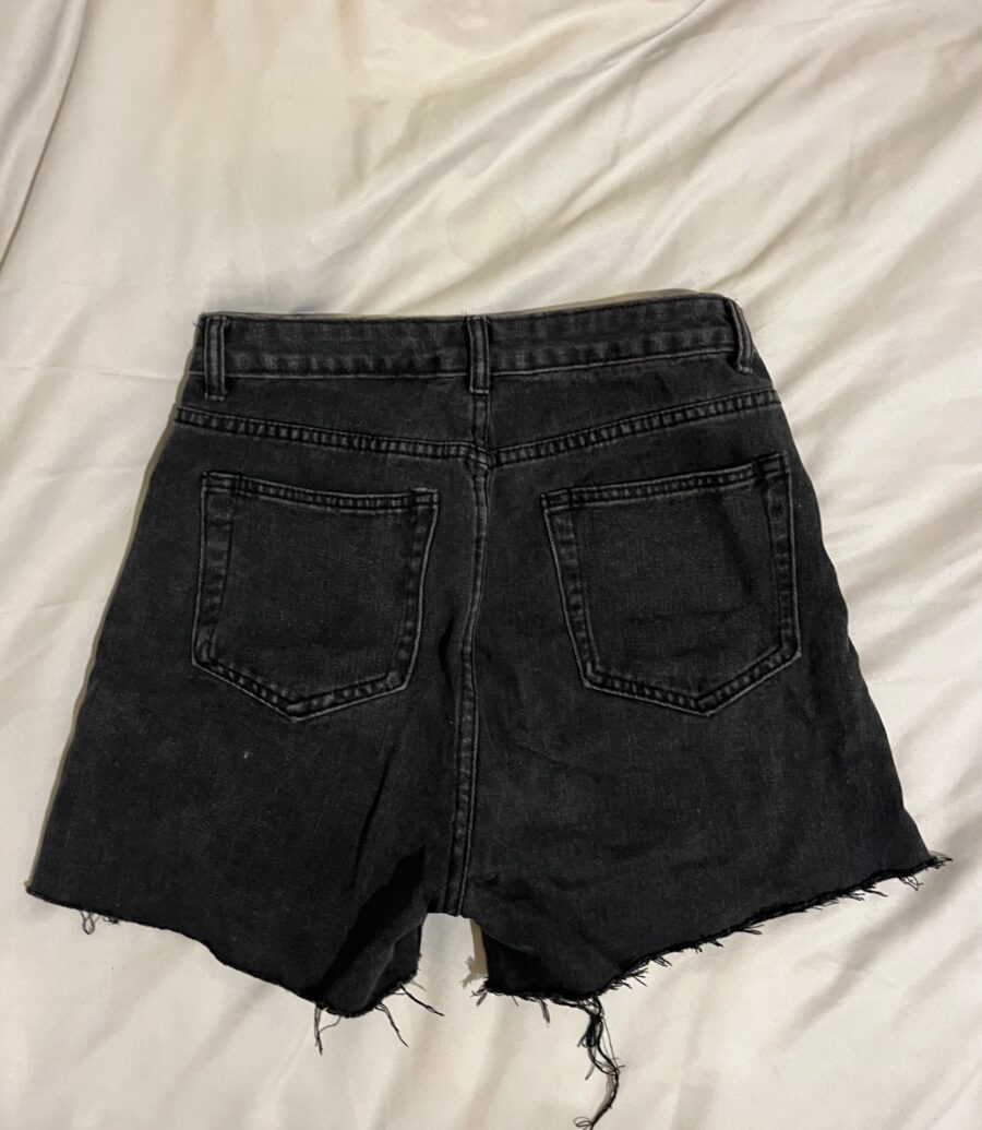 Img 3763