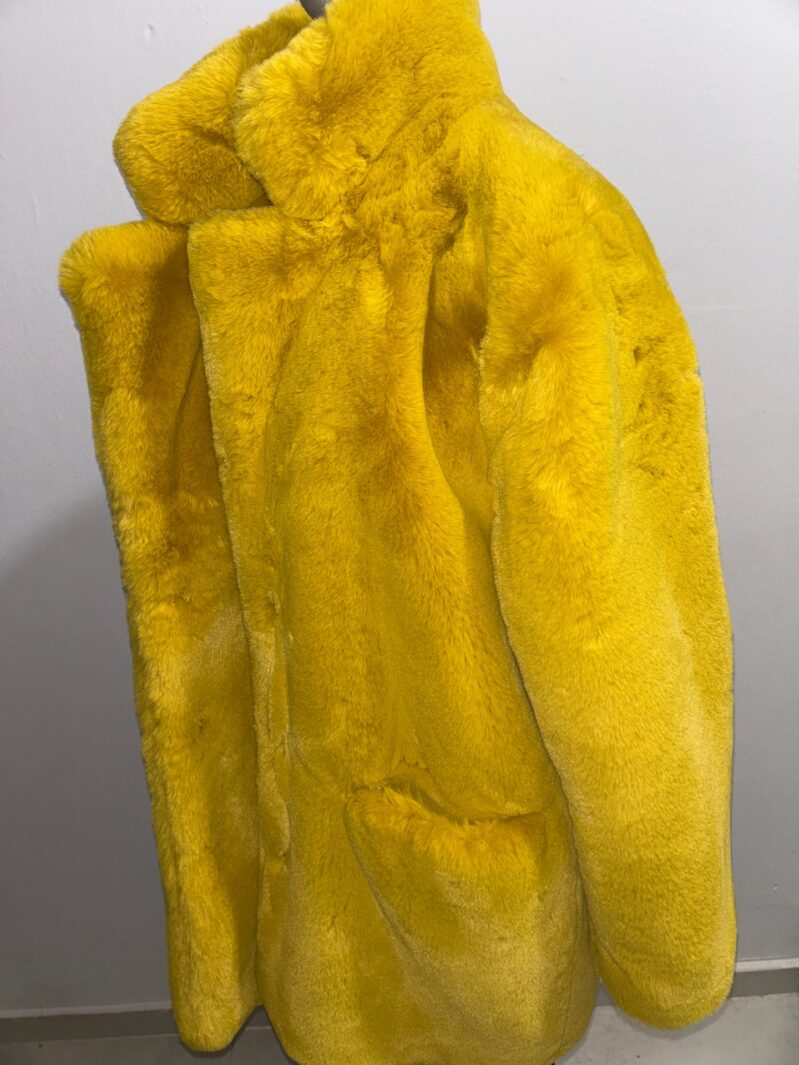 Image 51