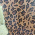 Img 20250926 Wa0014