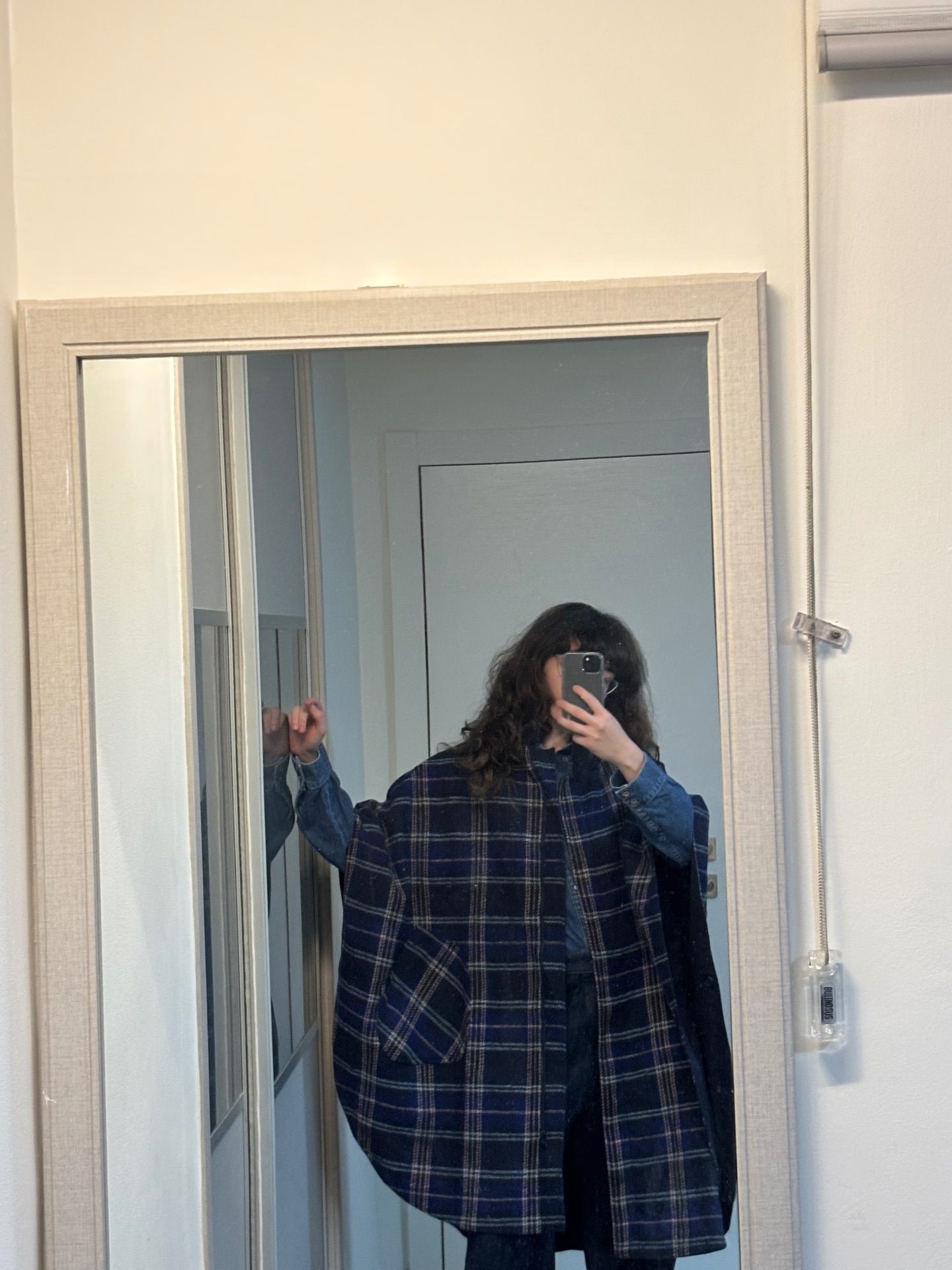Img 1321