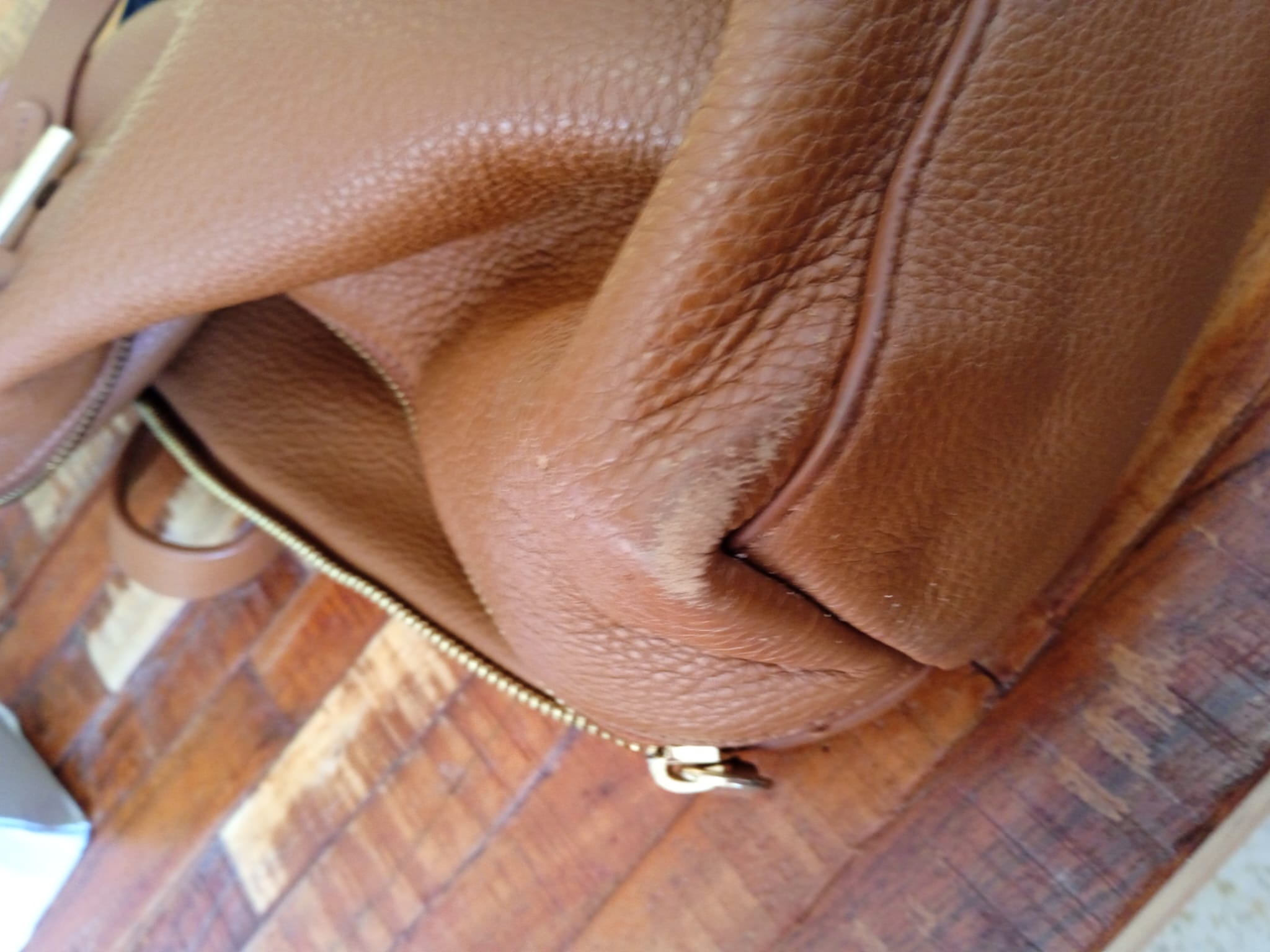 Img 20260107 Wa0198