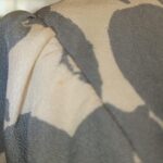 Img 20260107 Wa0304