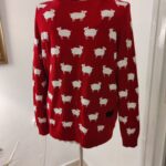 Img 20260110 Wa0023