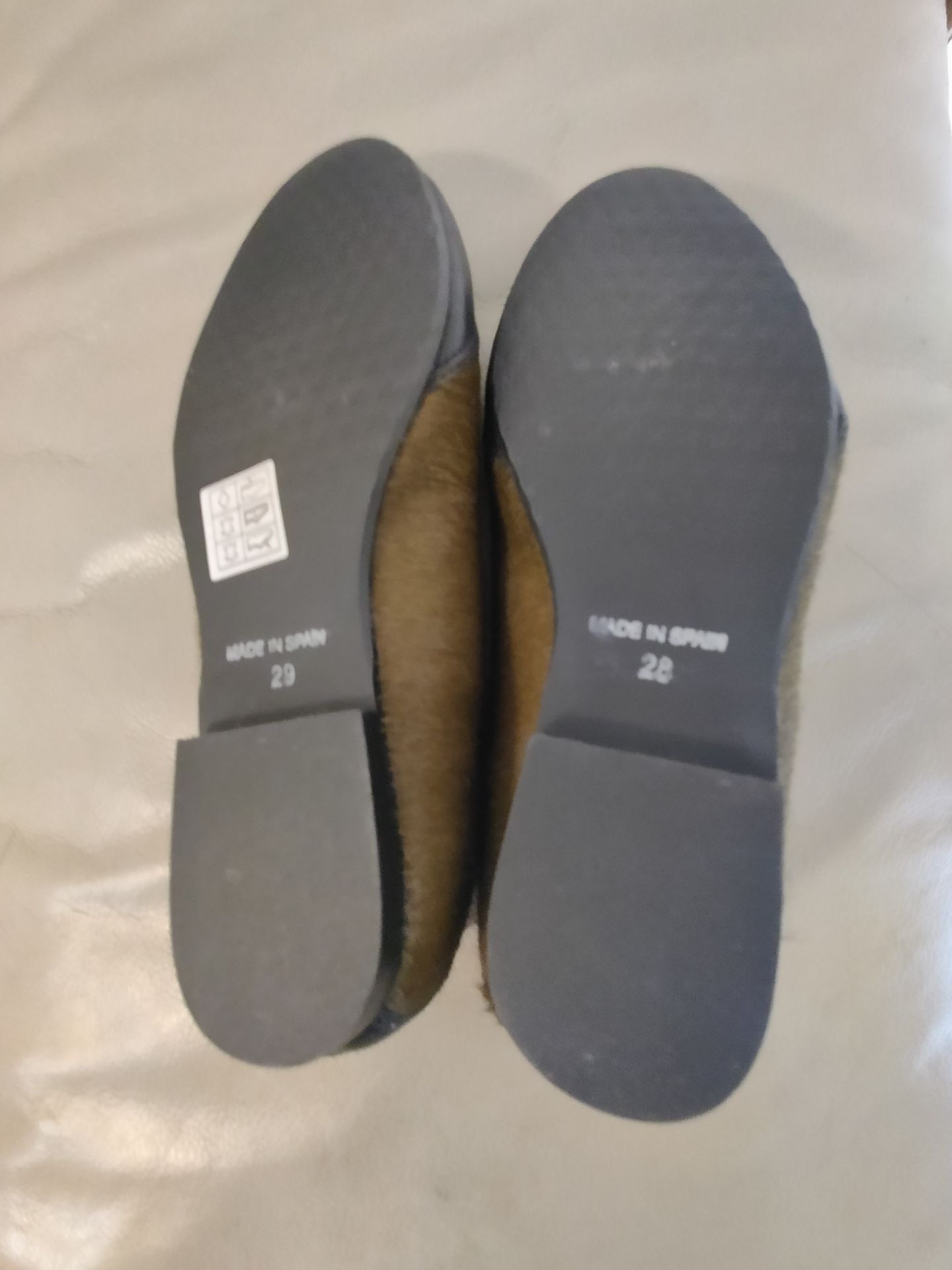 Img 20260114 085332