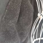 Img 20260115 081931