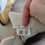 Img 20260127 133009