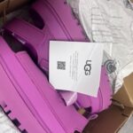 Img 7990