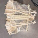 Img 1068