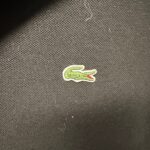 Img 3109