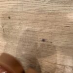 Img 7091
