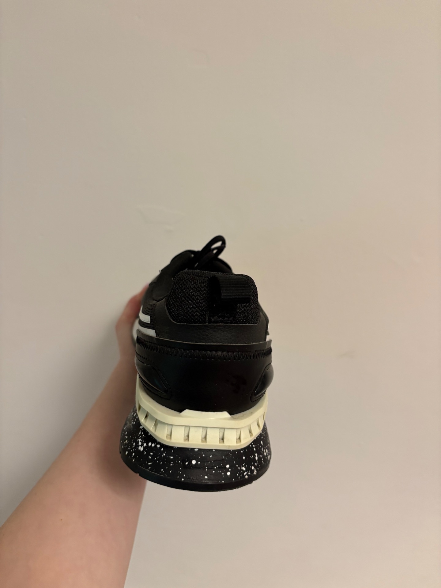 Img 2634